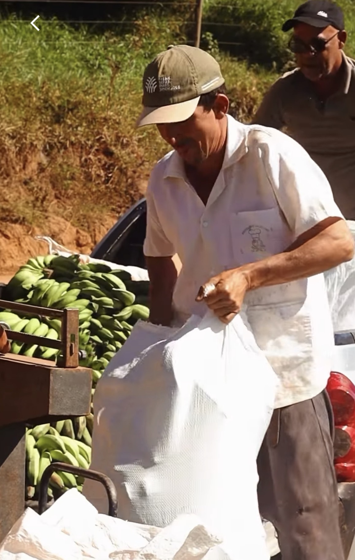 Prefeitura realiza recolhimento e distribuição de alimentos da agricultura familiar para famílias do município