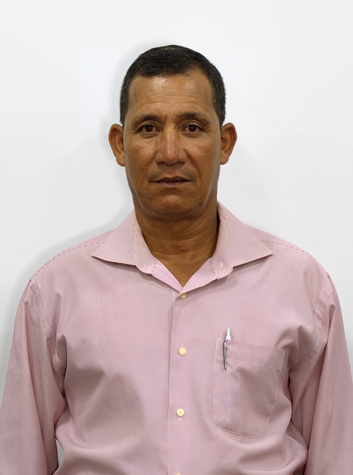 TICA DE DELI
