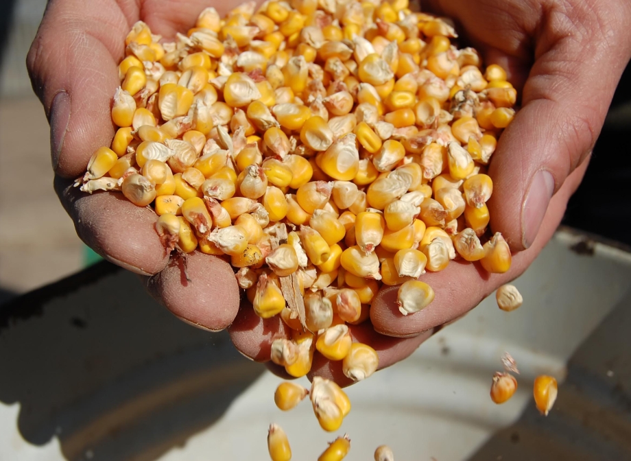 Congresso discute estratégias para potencializar o agronegócio no Vale do Jequitinhonha