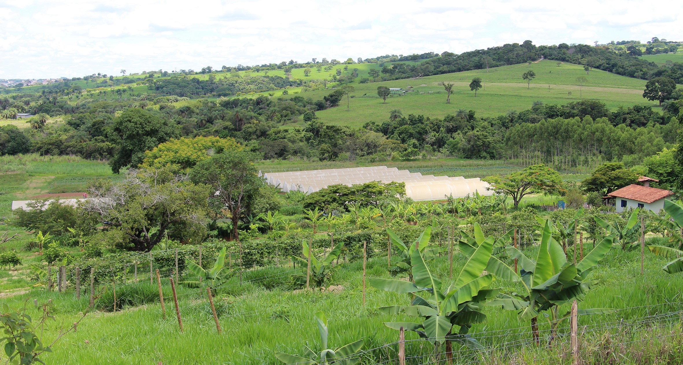 Imagem Noticia: Plataforma do Cadastro Ambiental Rural já cadastrou mais de 1 milhão de imóveis em Minas